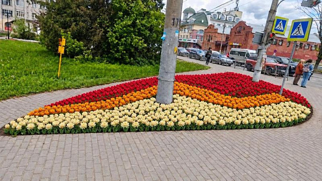 Почти 100 тысяч тюльпанов украсят Иваново весной